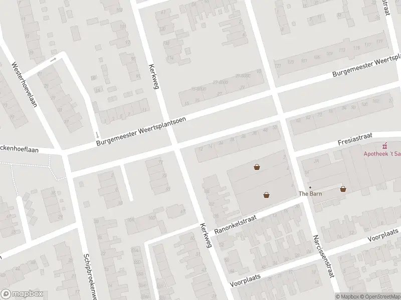Overlastmelding Burgemeester Weertsplantsoen in Santpoort-Noord