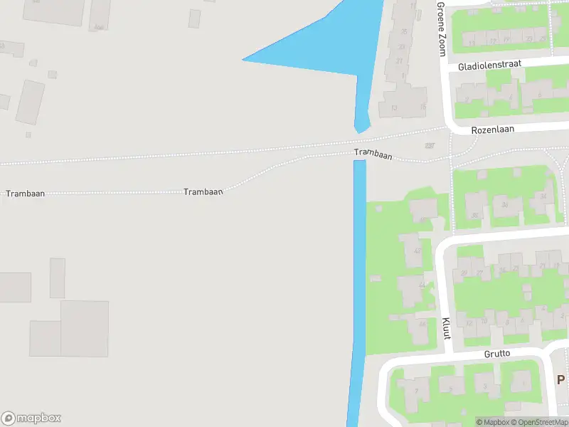 Overlastmelding Westplaatweg in Sommelsdijk