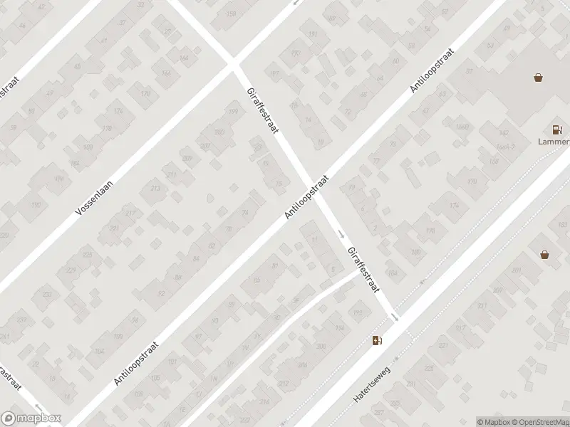 Brandweer met gepaste spoed naar de Rentmeesterlaan in Nijmegen