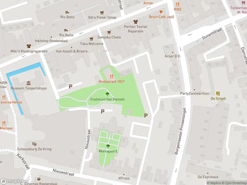 Brandweer met gepaste spoed naar de Molenstraat in Roosendaal