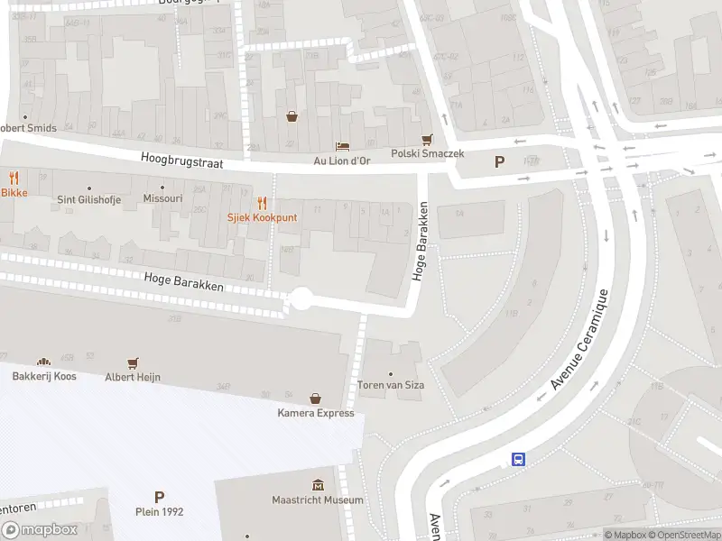 Brandweer en politie met grote spoed naar de Hoogbrugstraat in Maastricht