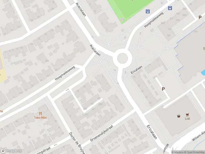 Ambulance met gepaste spoed naar de Ericalaan in Leiderdorp