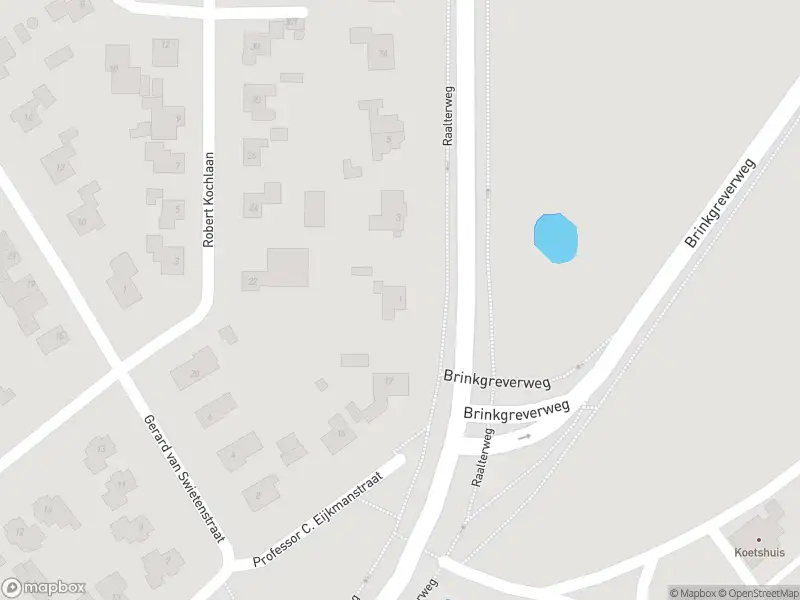 Politie naar de Raalterweg in Deventer vanwege aanrijding met letsel