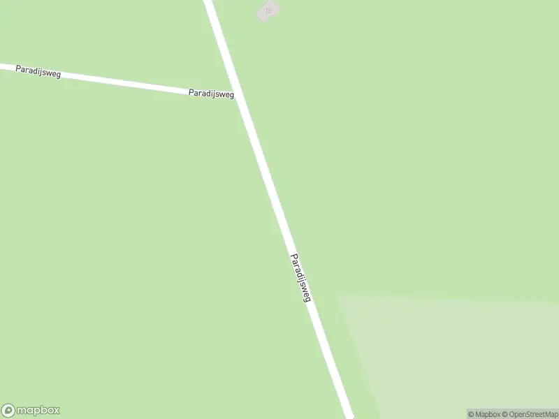 Brandweer met gepaste spoed naar de Paradijsweg in Leusden