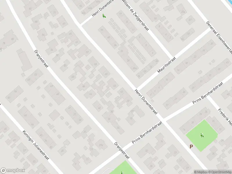 Brandweer met gepaste spoed naar de Meestersweg in Staphorst