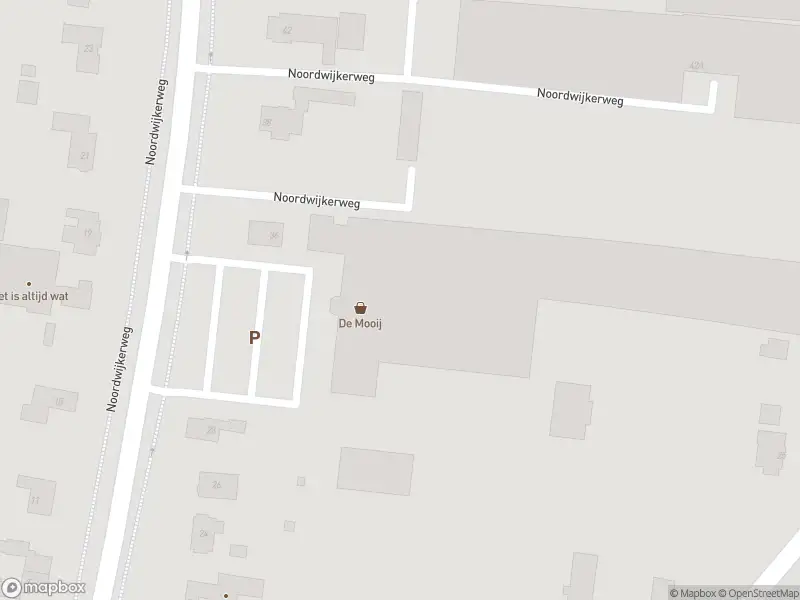 Overlastmelding Noordwijkerweg in Rijnsburg