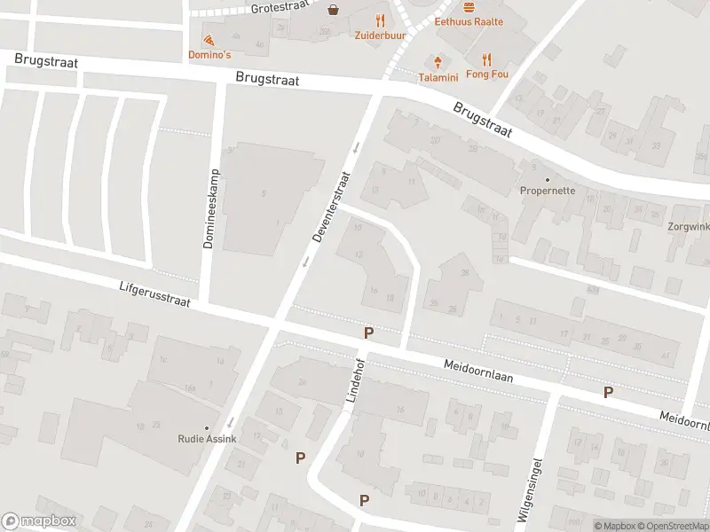 Brandweer met gepaste spoed naar de Almelosestraat in Raalte