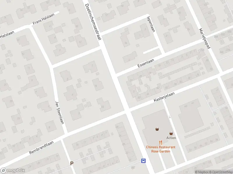 Ambulance met gepaste spoed naar de Doetinchemsestraat in Middelharnis