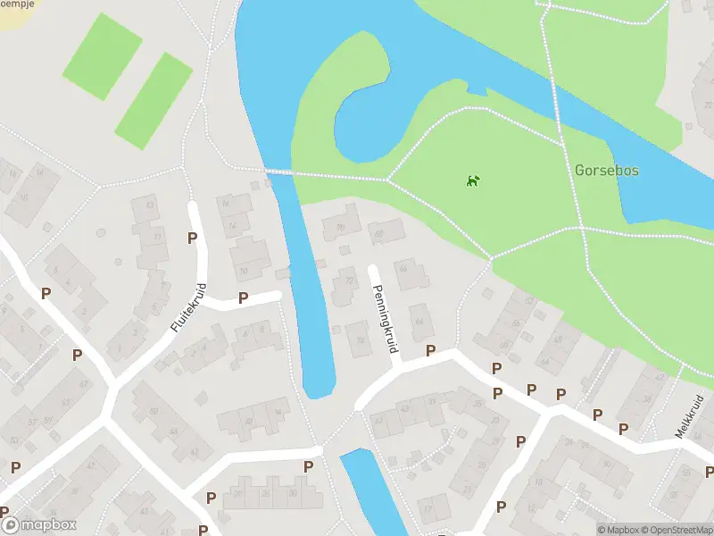 Brandweer met gepaste spoed naar de Koningsvaren in Purmerend vanwege wateroverlast