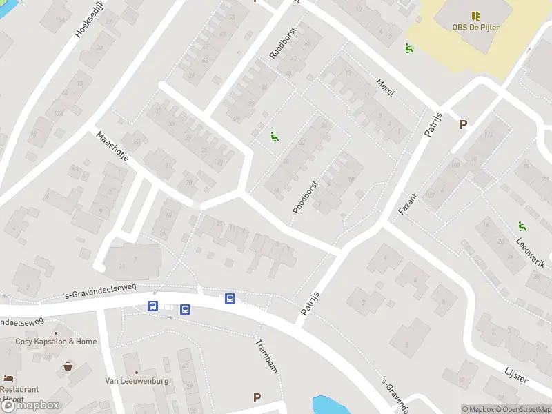 Besteld ambulance vervoer naar de Roodborst in Maasdam