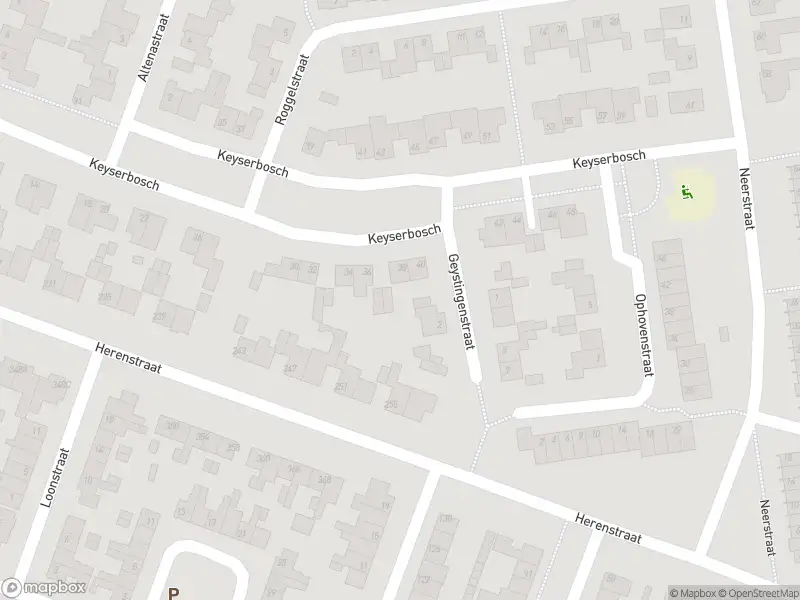 Brandweer met gepaste spoed naar de Maastrichtstraat in Weert