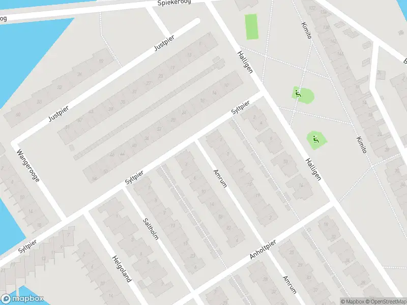 Brandweer met grote spoed naar de Amrum in Zaandam vanwege afhijsen patient