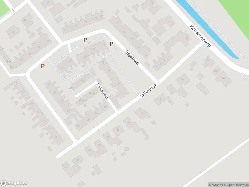 Overlastmelding Tulpstraat in 't Zand