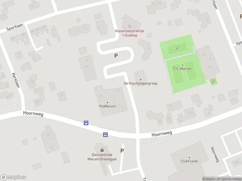 Politie met grote spoed naar de Kamperfoelielaan in Marum vanwege ongeval met letsel