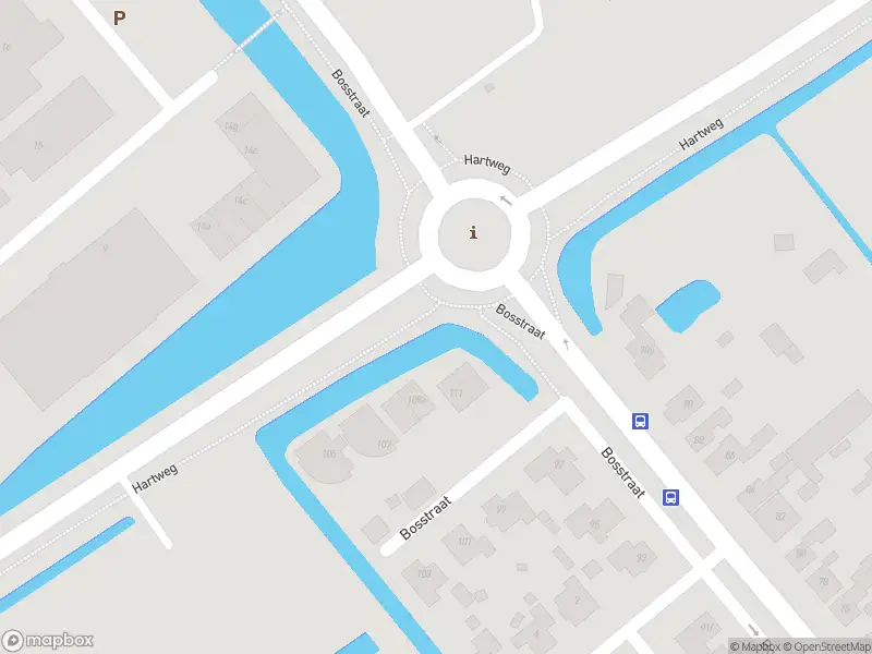 Overlastmelding Bosstraat in Winkel gesloten