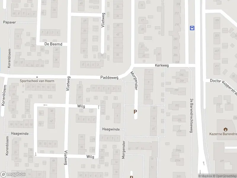 Traumahelikopter met grote spoed naar de Paddeweg in Barendrecht