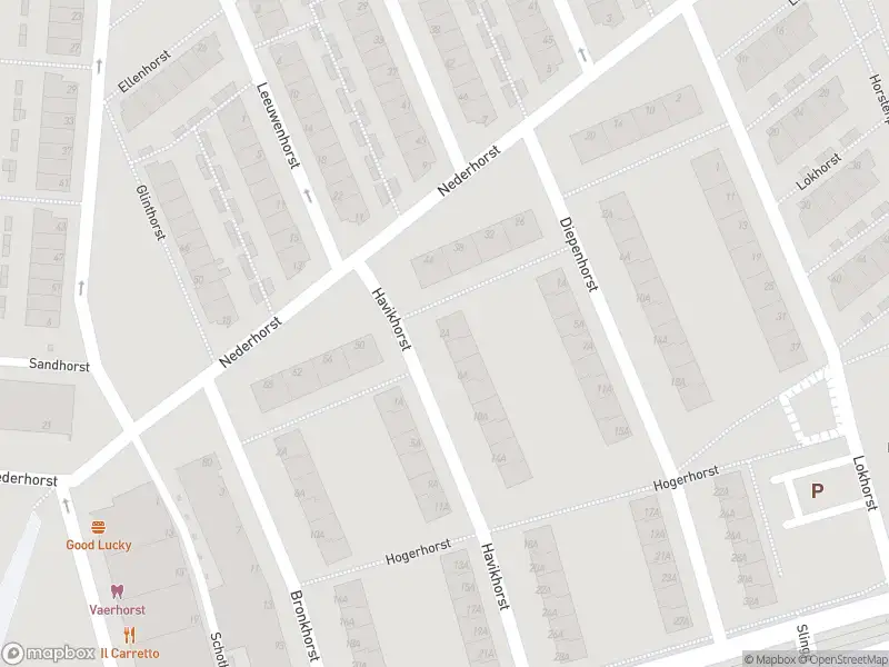 Ambulance met gepaste spoed naar de Havikhorst in Rotterdam