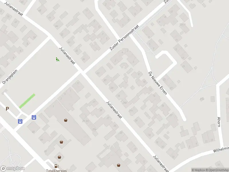 Brandweer met gepaste spoed naar de Rooijseweg in Mariahout