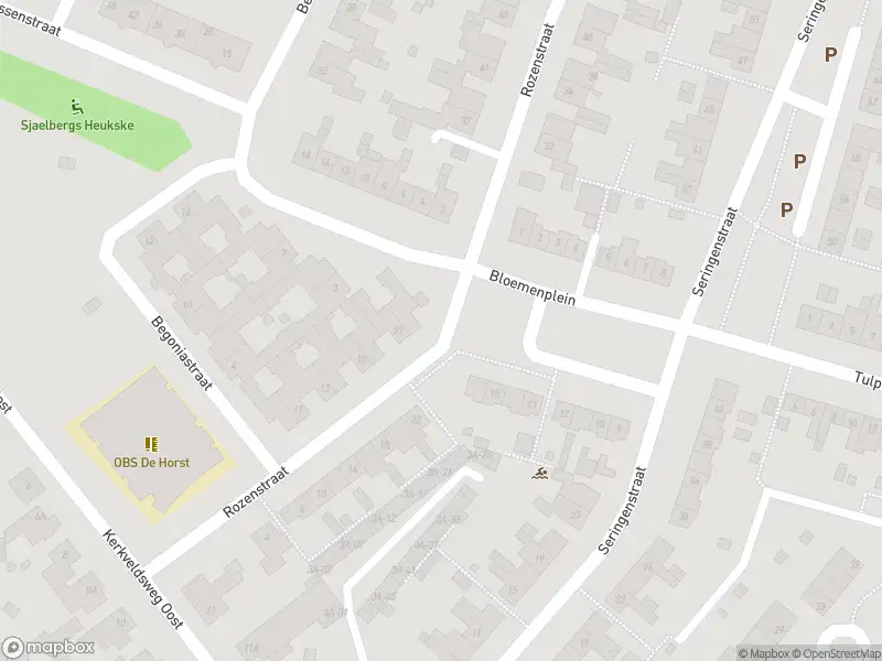 Overlastmelding Rozenstraat in 6101NC Echt