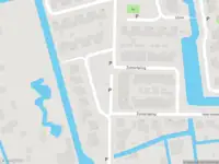 Overlastmelding Rietgans in Spanbroek gesloten