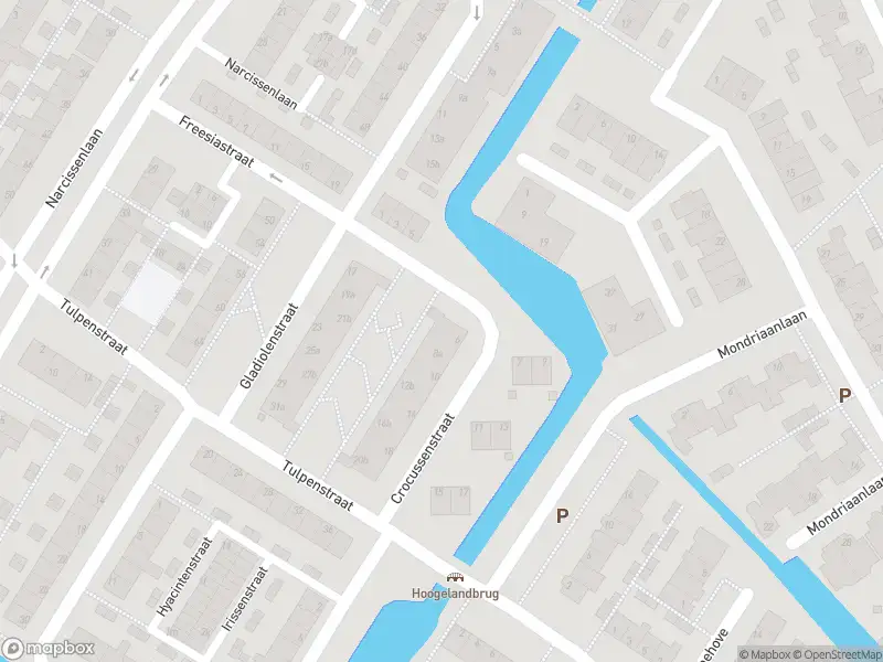 Overlastmelding Crocussenstraat in Sassenheim