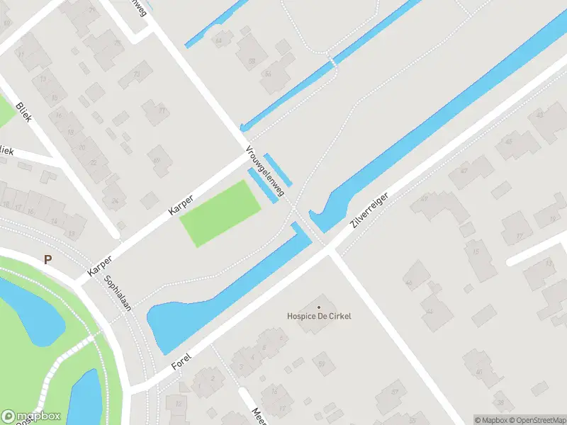 Brandweer met grote spoed naar de Vrouwgelenweg in Hendrik-Ido-Ambacht vanwege voertuigen te water