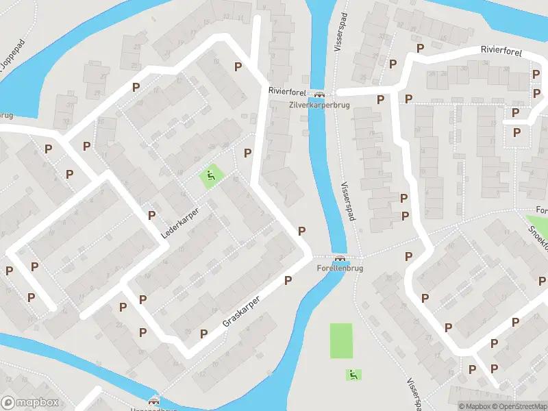 Ambulance met grote spoed naar de Zilverkarper in Leiden