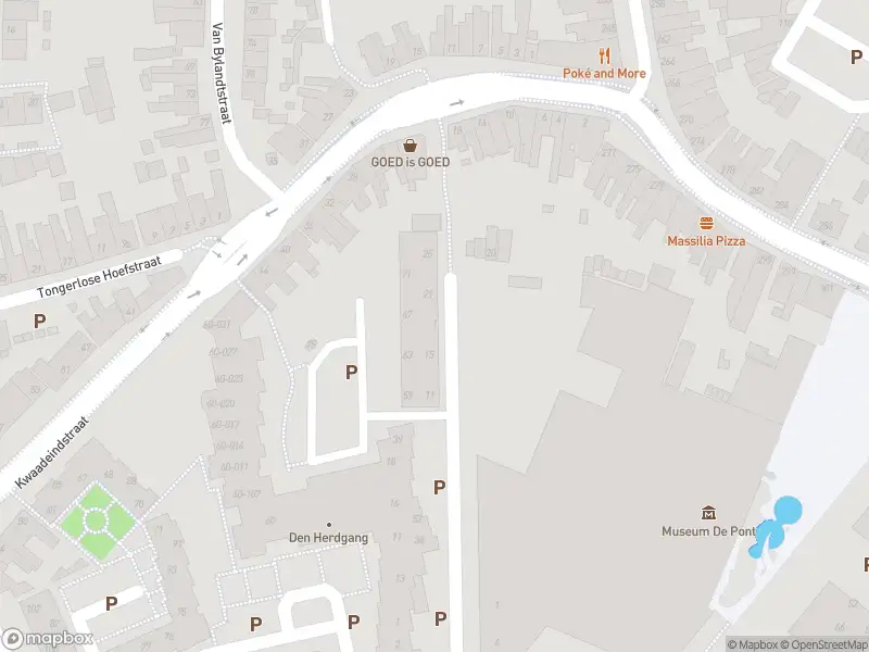 Overlastmelding Tjeuke Timmermansstraat in Tilburg