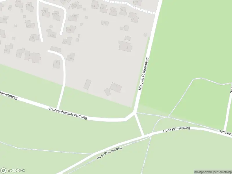 Brandweer met grote spoed naar de Nieuwe Prinsenweg in Putten