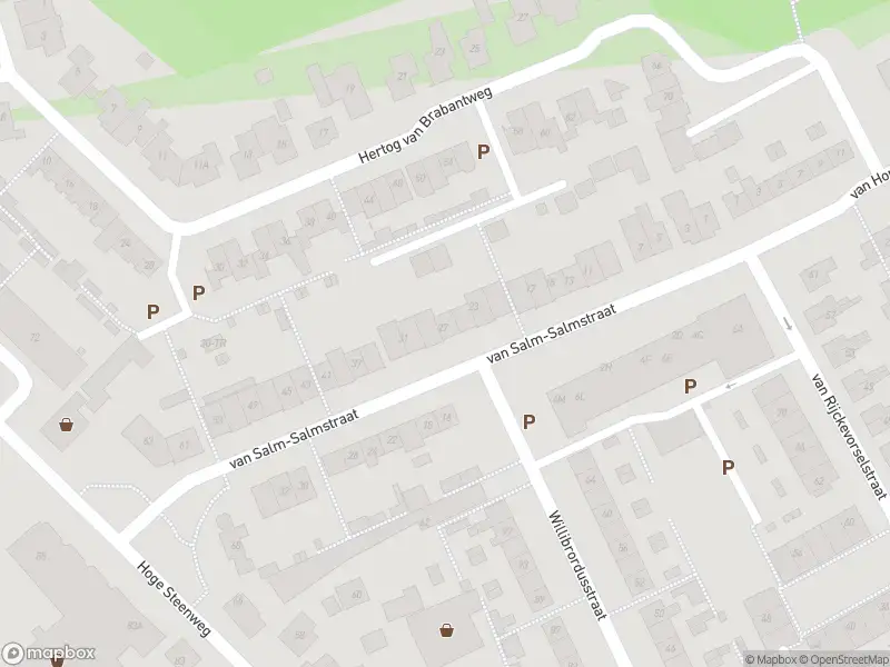 Overlastmelding Van Salm-Salmstraat in Loon op Zand