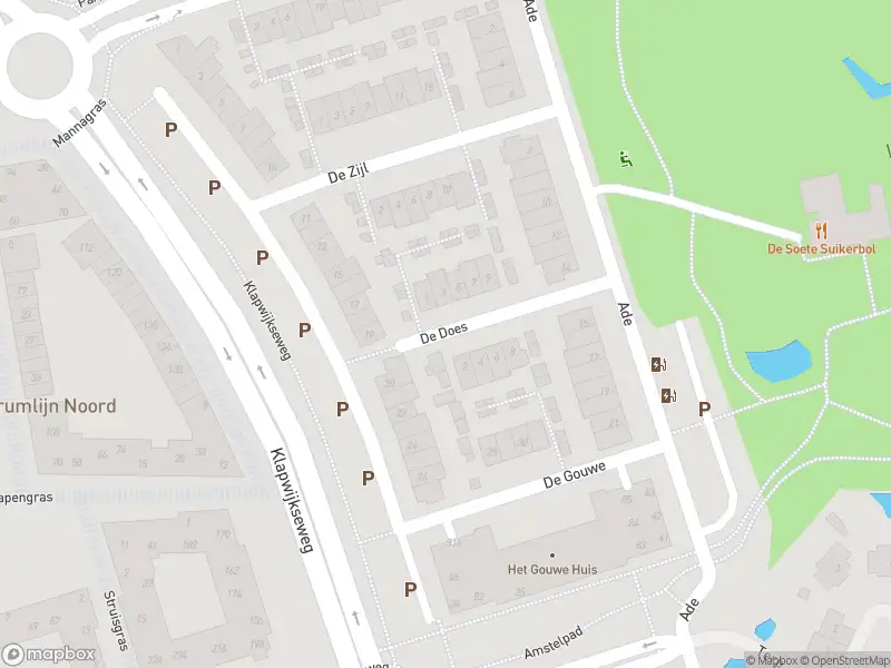 Ambulance met grote spoed naar de De Does in Pijnacker