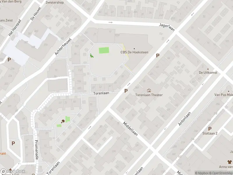 Politie naar de Steynlaan in Zeist