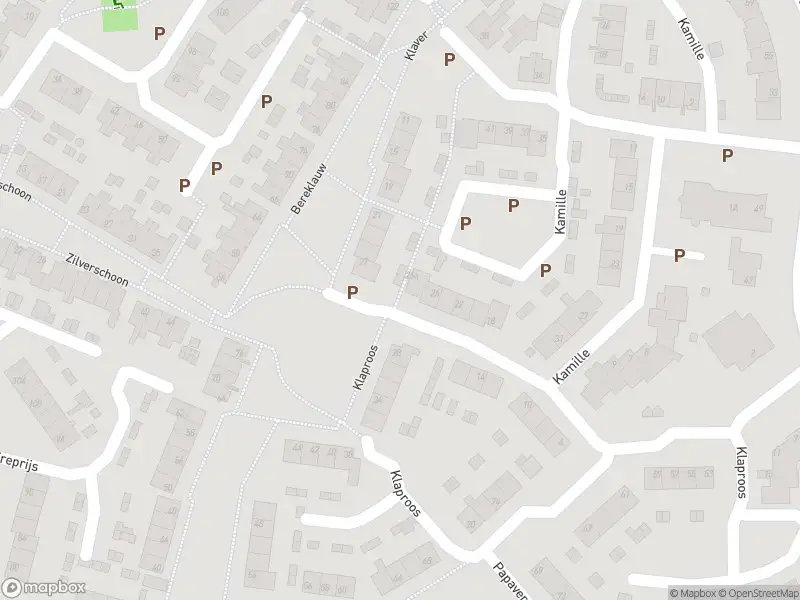 Overlastmelding Laan van Welgelegen in 4251KM Werkendam