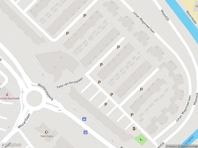 Overlastmelding Peter van Anrooylaan in Maassluis (3144 LD)