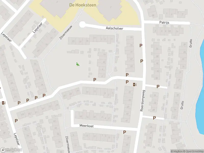 Overlastmelding Waterhoen in Oud-Beijerland