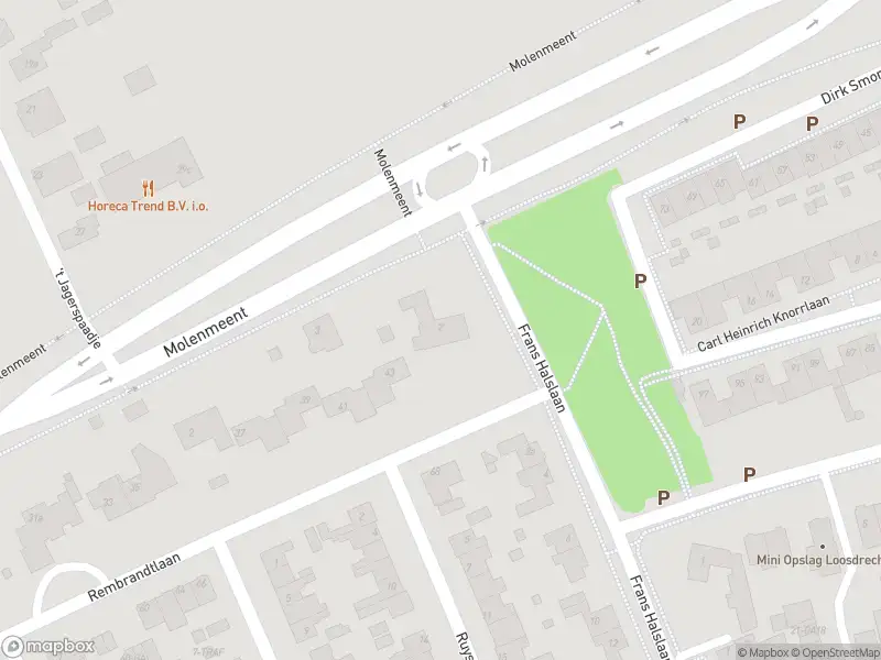 Overlastmelding Frans Halslaan in Loosdrecht