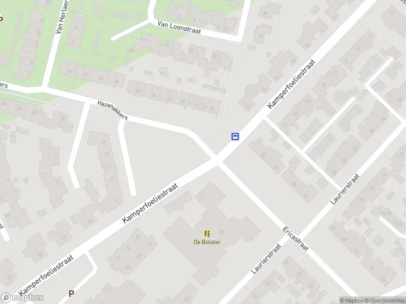 Overlastmelding Kamperfoeliestraat in Sint-Michielsgestel