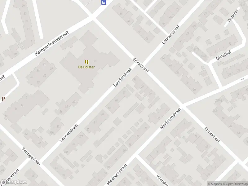 Overlastmelding Laurierstraat in Sint-Michielsgestel