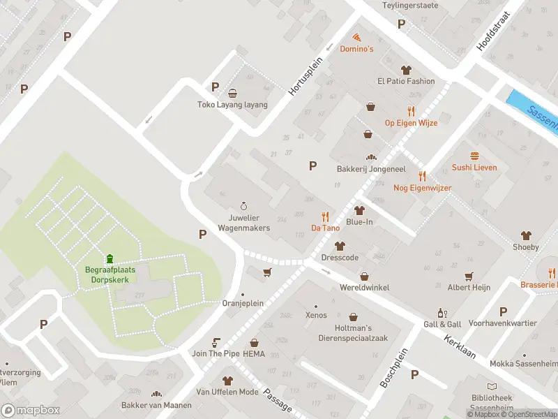 Ambulance met gepaste spoed naar de Hortuslaan in Sassenheim