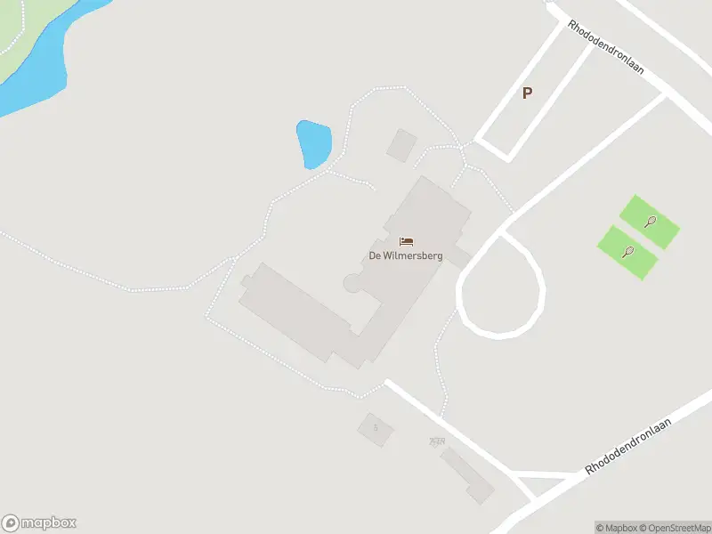 Brandweer met grote spoed naar de Rhododendronlaan in De Lutte