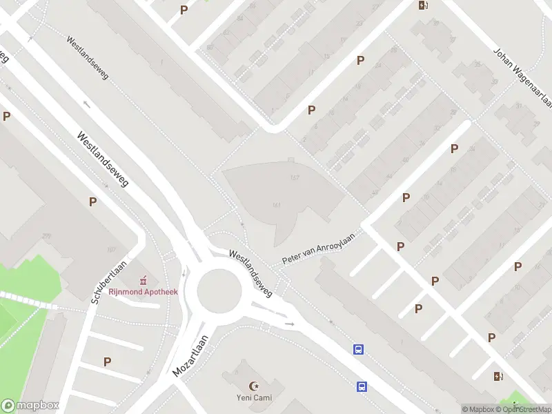 Overlastmelding Peter van Anrooylaan in Maassluis gesloten