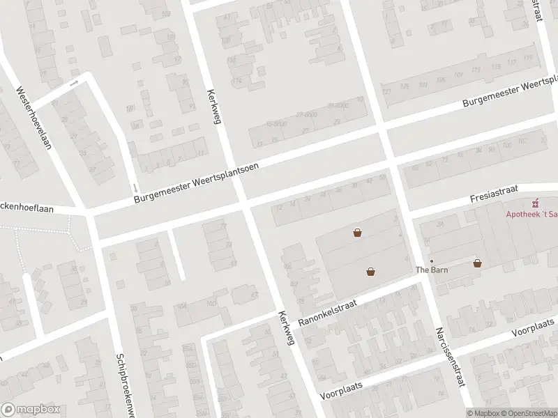 Overlastmelding Burgemeester Weertsplantsoen in Santpoort-Noord gesloten