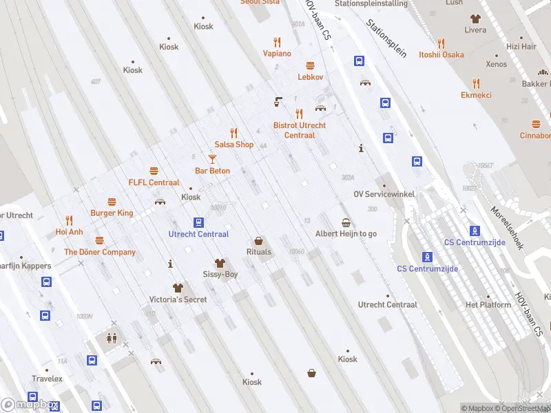 Politie naar de Stationshal in Utrecht