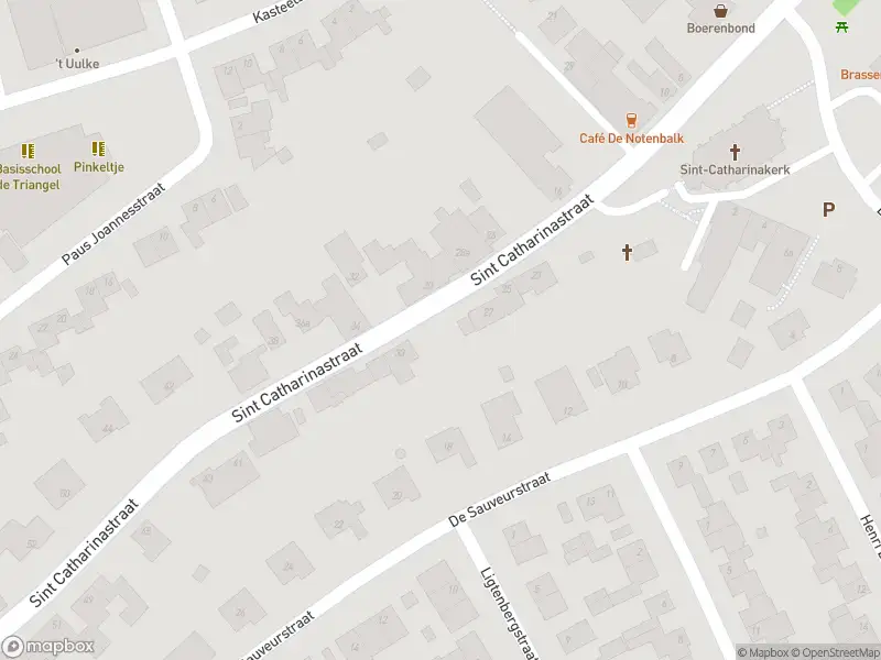 Brandweer met gepaste spoed naar de Paus Joannesstraat in Ulestraten vanwege stormschade