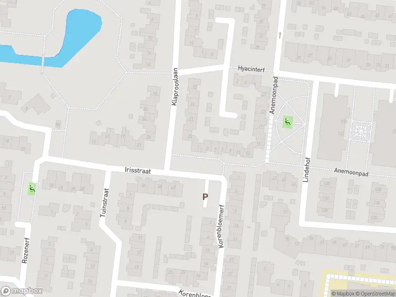 Overlastmelding Anemoonpad in 's-Gravendeel gesloten