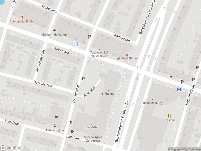 Ambulance met gepaste spoed naar de Billitonflat in Vlaardingen