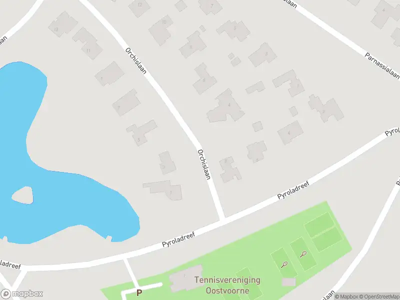 Ambulance met gepaste spoed naar de Orchislaan in Oostvoorne