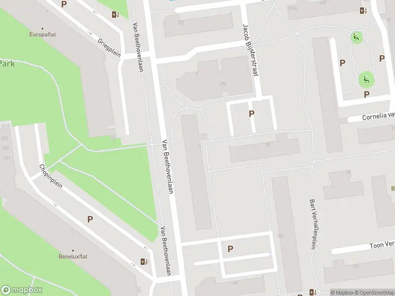 Ambulance met gepaste spoed naar de Bart Verhallenplein in Schiedam