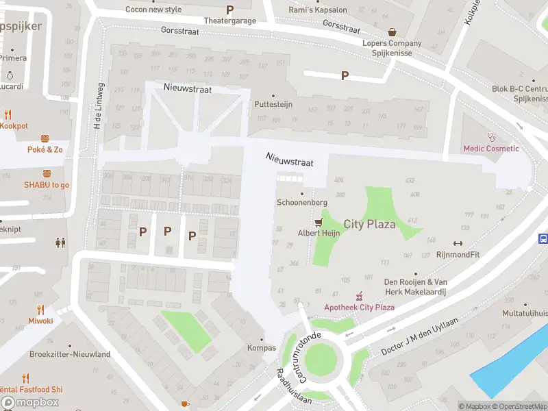 Ambulance met grote spoed naar de Nieuwstraat in Spijkenisse