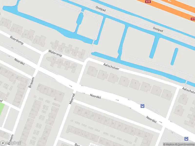 Ambulance met gepaste spoed naar de Aalscholver in Papendrecht